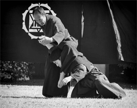 traditional aiki jujutsu